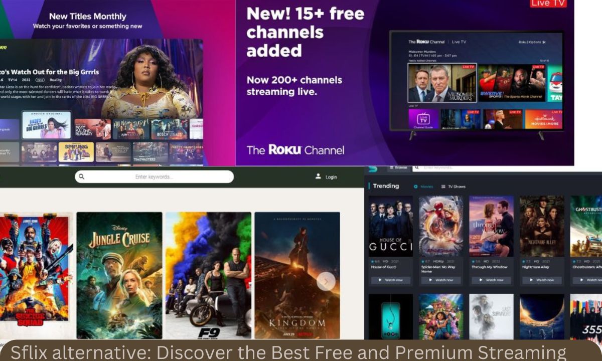 Sflix Alternative Discover The Best Free And Premium Streaming